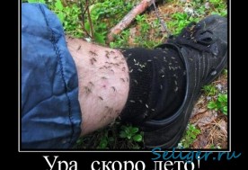 Комаров у нас НЕТ!