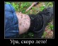 Комаров у нас НЕТ!
